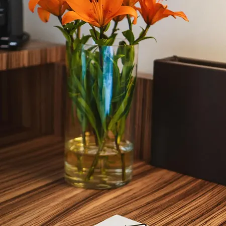 Herzogshof - Boutique-hotel Am Dom Ratisbona