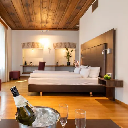 Otel Herzogshof - Boutique-hotel Am Dom Regensburg