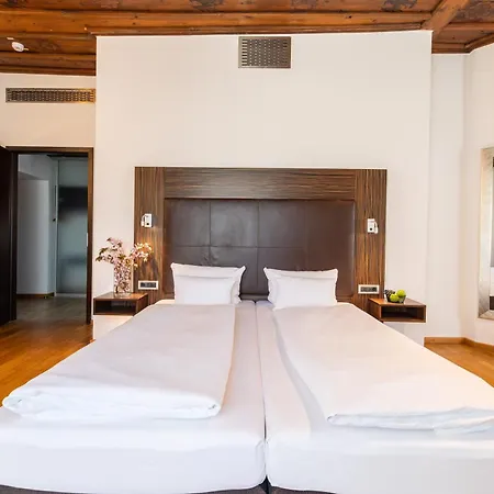 Herzogshof - Boutique-hotel Am Dom רגנסבורג