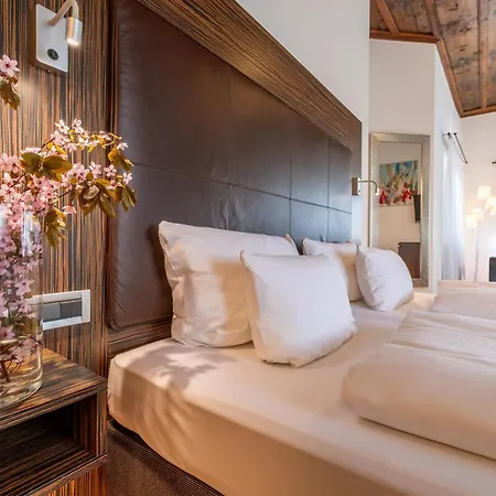 Hotel Herzogshof - Boutique-hotel Am Dom Regensburg