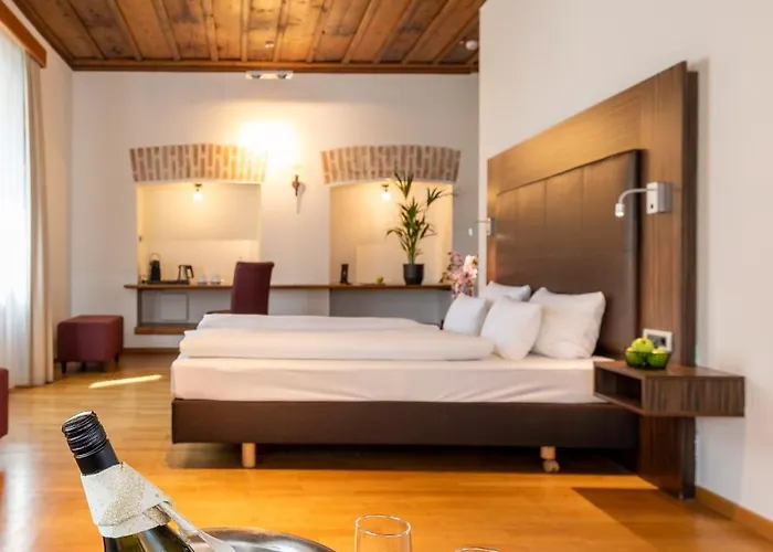 酒店 Herzogshof - Boutique-hotel Am Dom 雷根斯堡