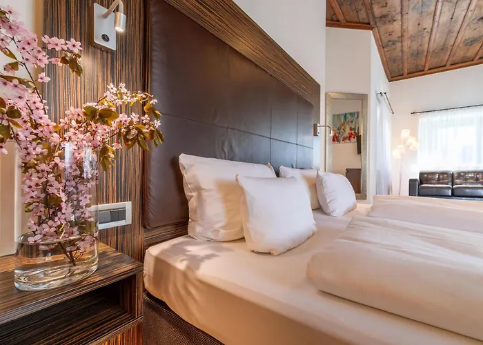 酒店 Herzogshof - Boutique-hotel Am Dom 雷根斯堡